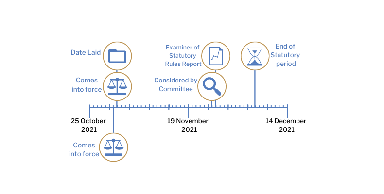 This timeline tracker shows the progress of The Health Protection (Coronavirus, International Travel) (2021 Consolidation) (Amendment No. 8) Regulations (Northern Ireland) 2021. The exact details are available in the table below. 
